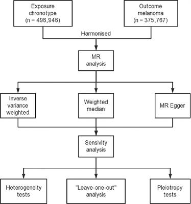 Causal association between serum 25-Hydroxyvitamin D levels and cutaneous melanoma: a two-sample Mendelian randomization study